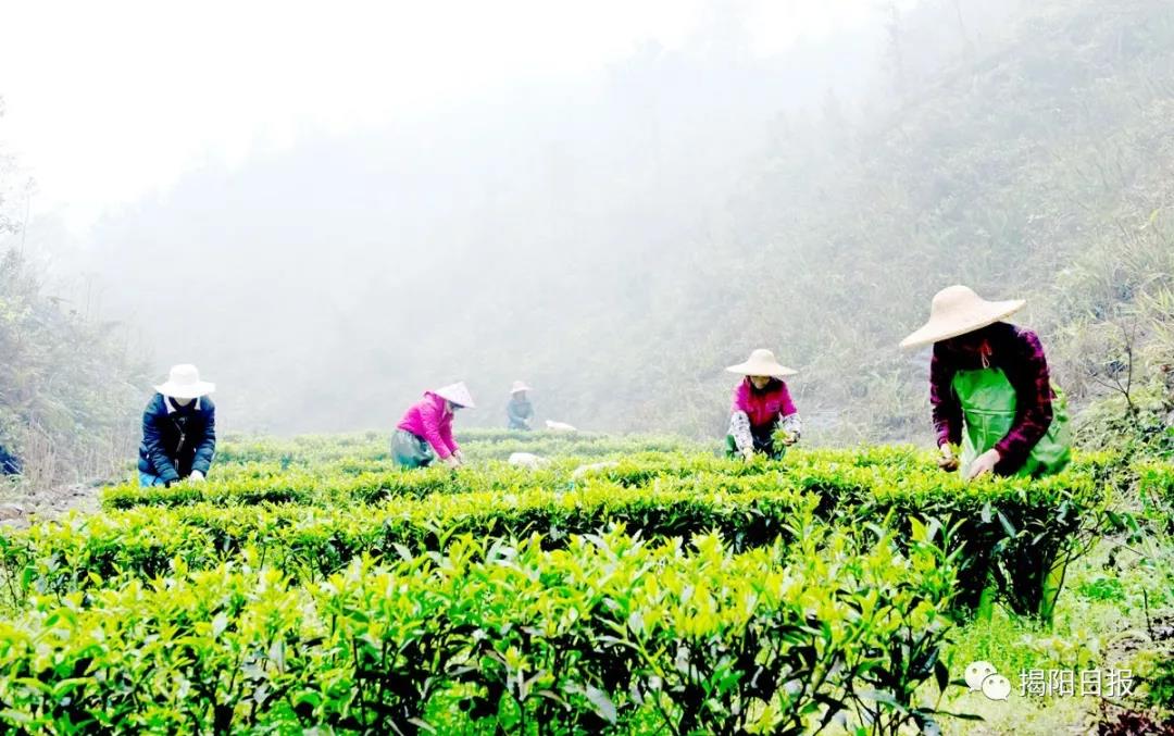 微信图片_20191230164333.jpg 微信图片_20191230164333.jpg