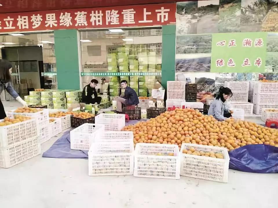 微信图片_20191230170744.jpg 微信图片_20191230170744.jpg