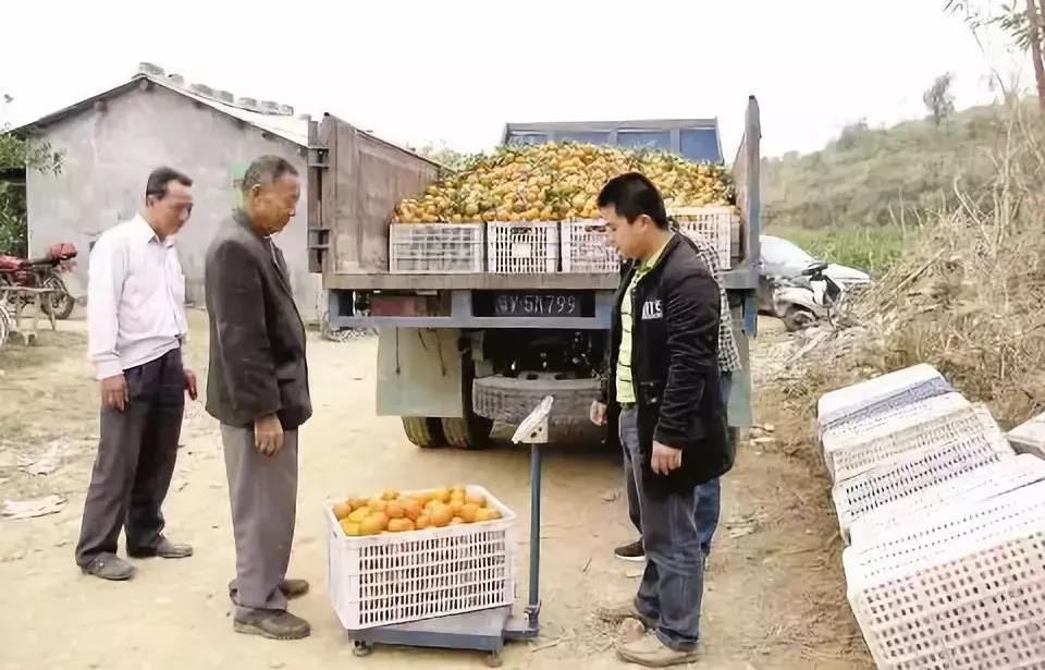 微信图片_20191230170749.jpg 微信图片_20191230170749.jpg