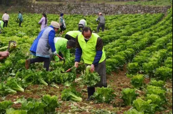 微信图片_20200216231118.jpg 微信图片_20200216231118.jpg