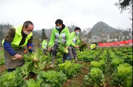 微信图片_20200216231305.jpg 微信图片_20200216231305.jpg