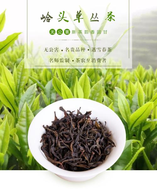 u=386318520,3939698104&fm=26&gp=0.jpg u=386318520,3939698104&fm=26&gp=0.jpg