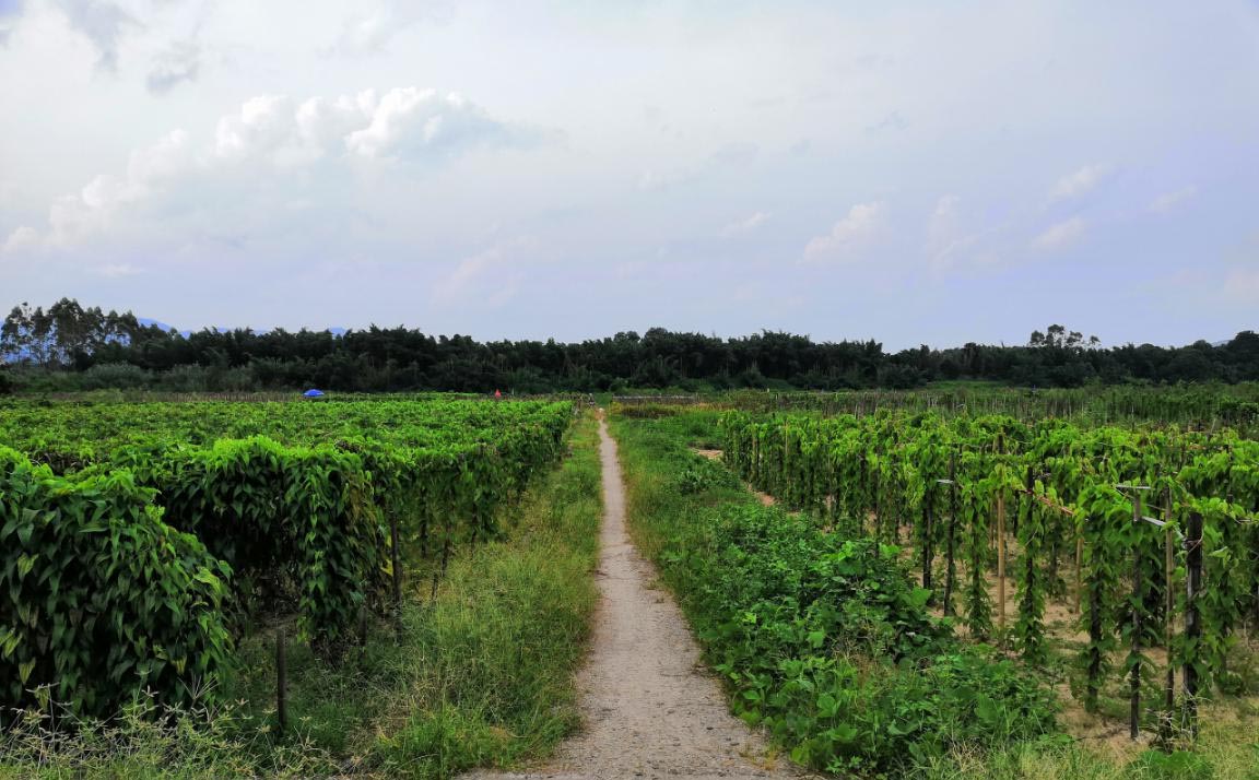 图片2.jpg 图片2.jpg