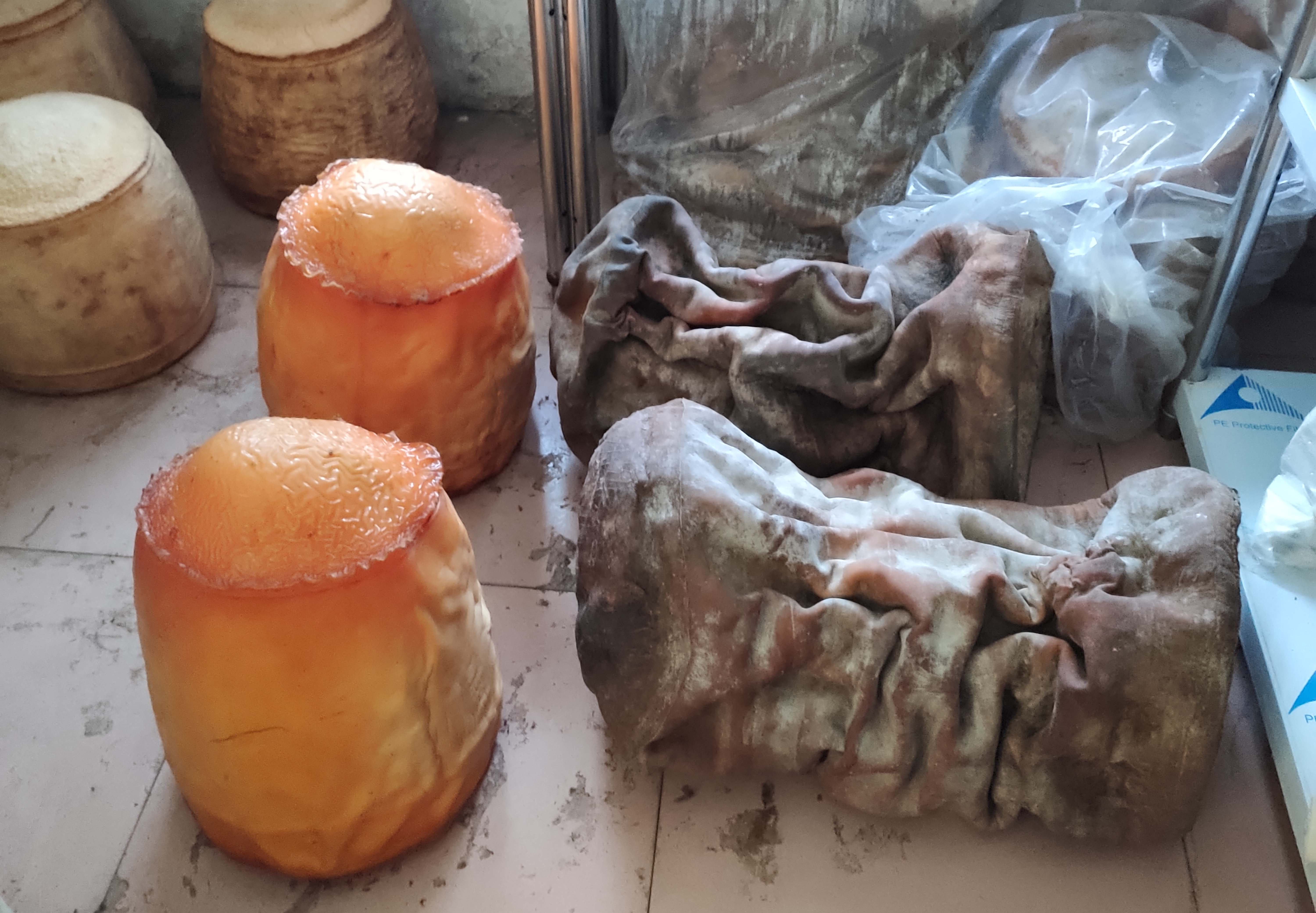 3.假太岁案 (26).jpg 3.假太岁案 (26).jpg