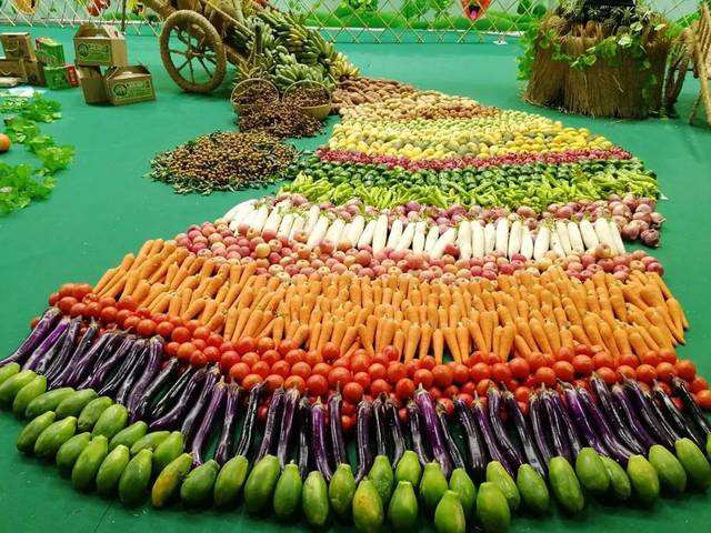 timg (7).jpg timg (7).jpg