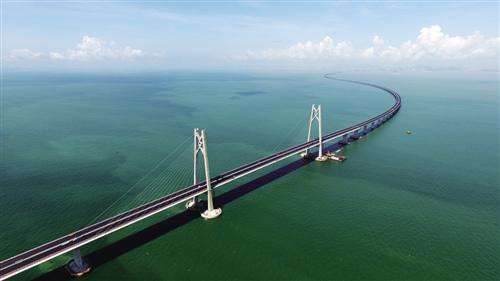 timg (19).jpg timg (19).jpg